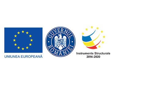 Linguistic Challenge | Cursuri de limba engleza, spaniola si germana pentru copii, adolescenti si adulti | Cursuri de limba engleza, spaniola si germana pentru companii si firme